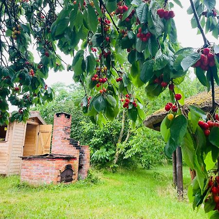 Rybakowka Nad Jeziorem Wicko Jezierzany Exteriér fotografie