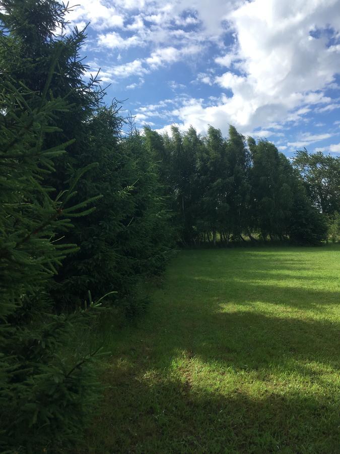 Rybakowka Nad Jeziorem Wicko Jezierzany Exteriér fotografie